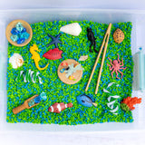 Coral Reef Sensory Kit