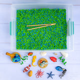 Coral Reef Sensory Kit