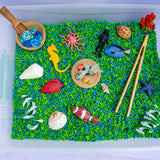 Coral Reef Sensory Kit